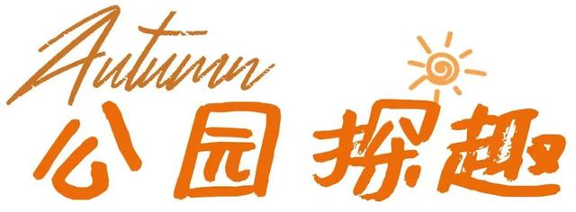 周末好去处丨免费打山泉水！烟台这条徒步秘境火了