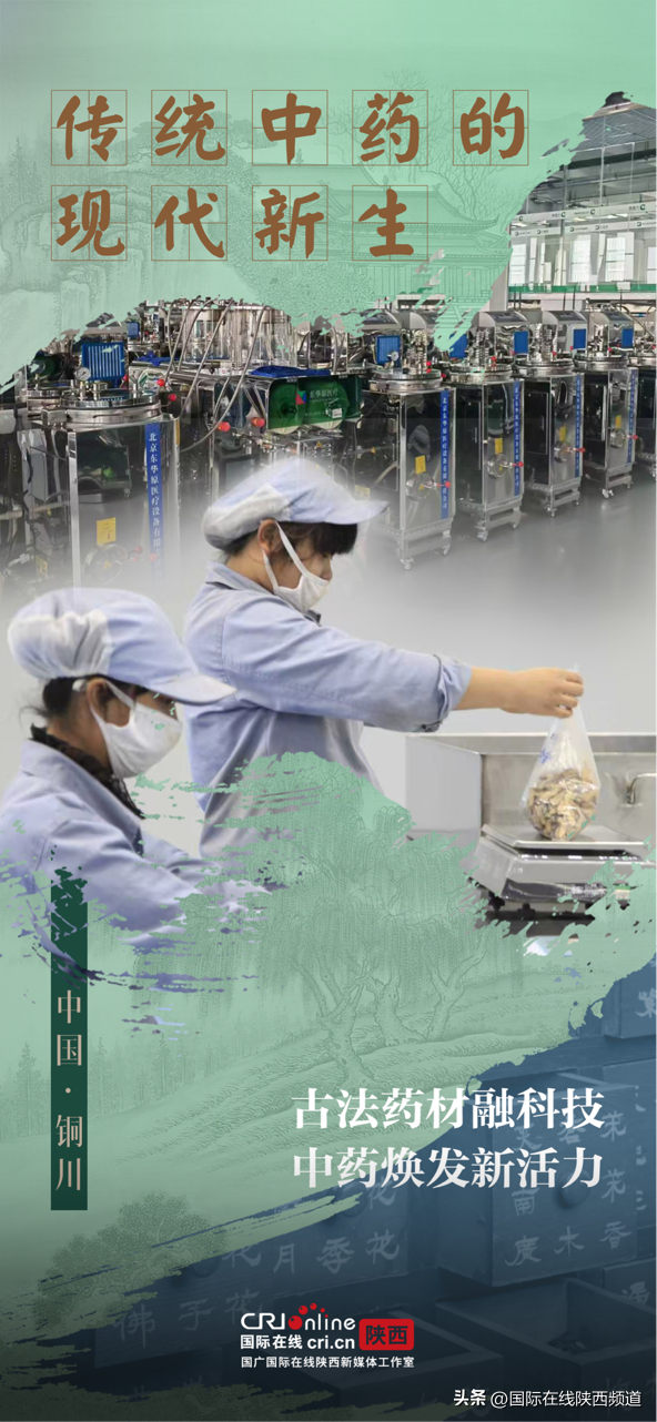 从药王故里到康养胜地 铜川解锁千年中医药文化传承密码（海报）