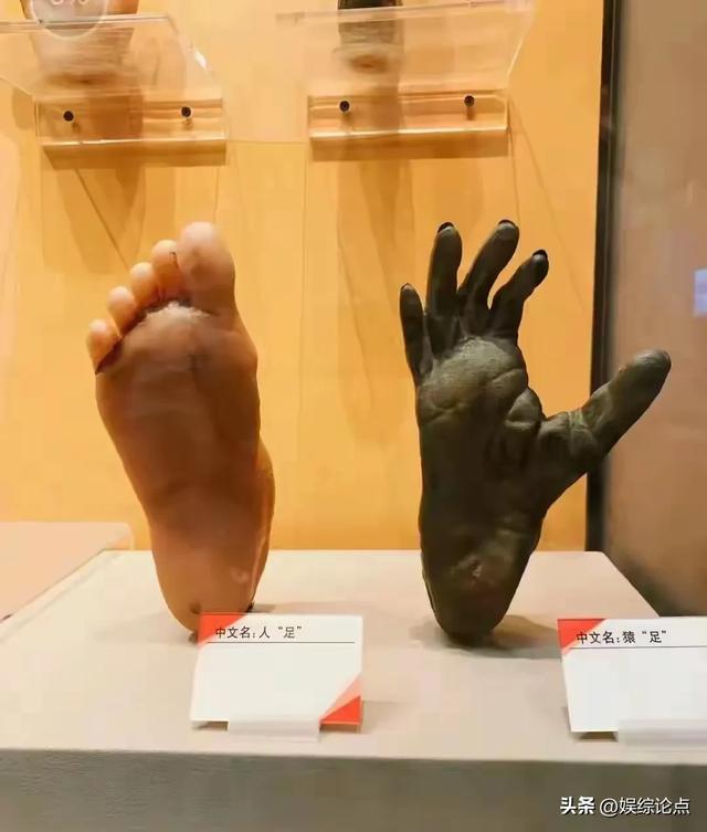 看完这33张对比图,我才彻底明白,没有对比,真的是没有伤害