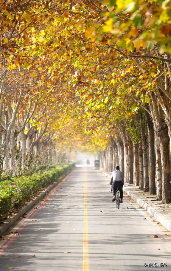 冀南新区独有的初冬韵味