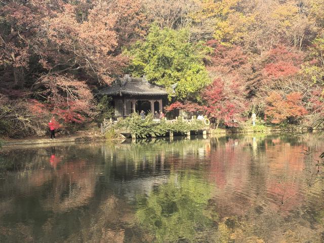 南京栖霞山一日徒步，游千年古刹，看漫山红叶