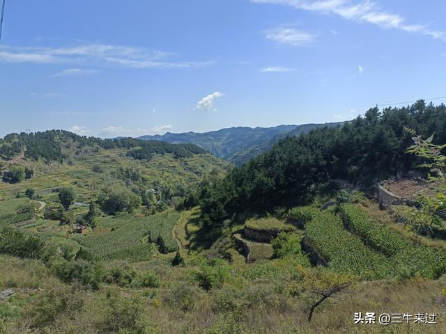 无为在歧路，壶关林州大名府7