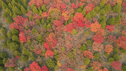 别白跑！舞彩浅山11月24日起闭园