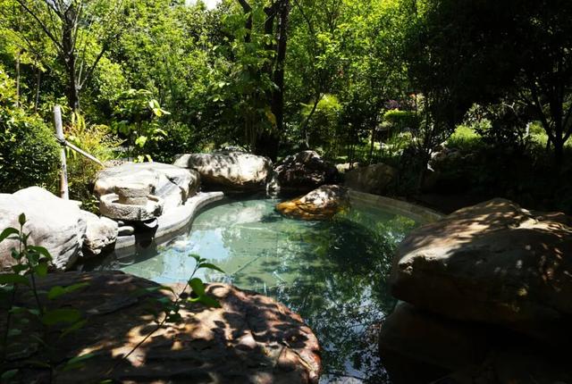 腾冲银杏季｜4天5夜黄金攻略，把金黄、温泉、烟火全打包～