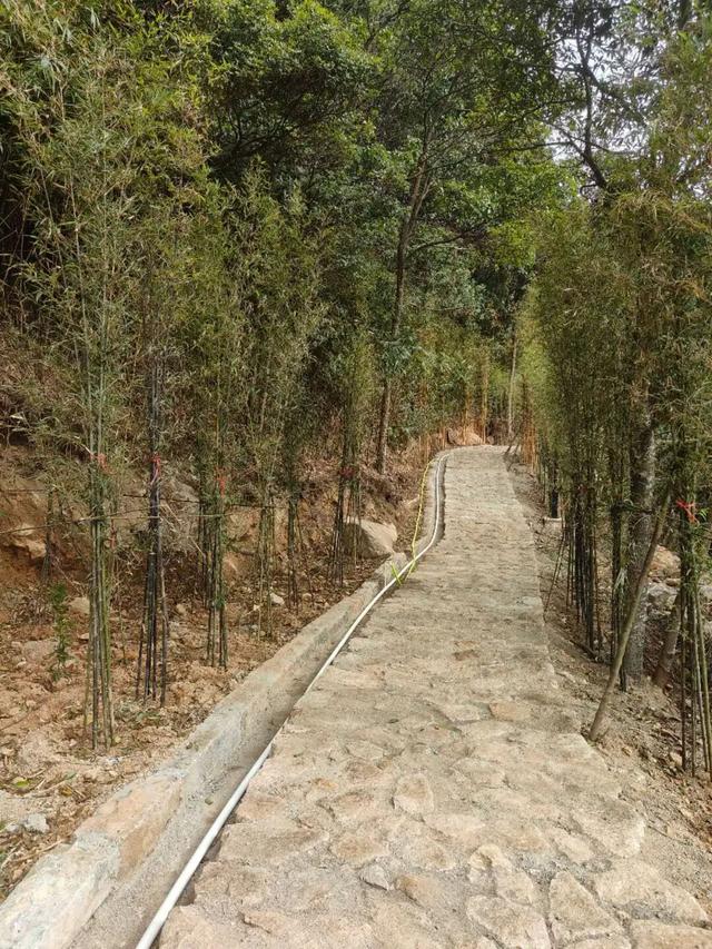 从寻芳秘境到探险秘境，福清这个生态步道再升级！