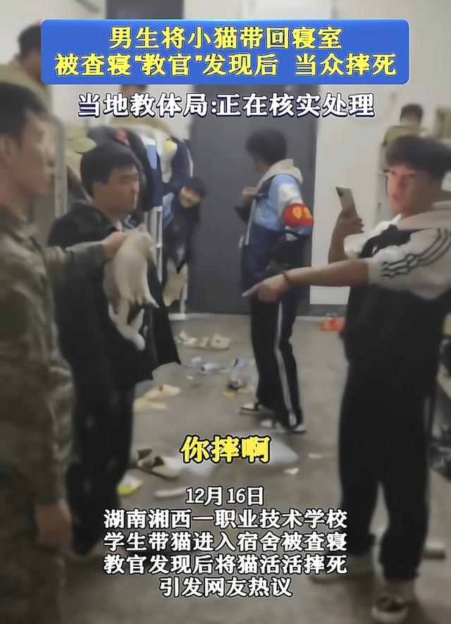 教官摔猫后续，教官被辞退，学生再发文：故意激怒教官样子帅不帅