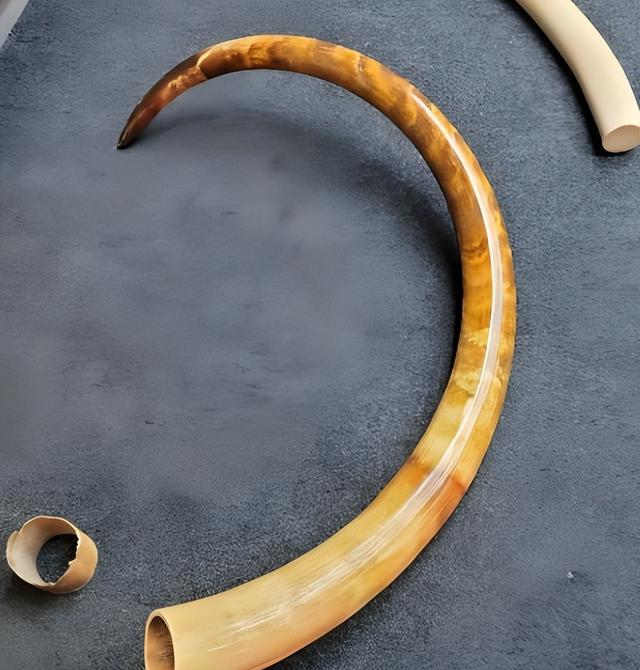 看后颠覆你的认知！有机宝石这么多！看完帮您涨知识！