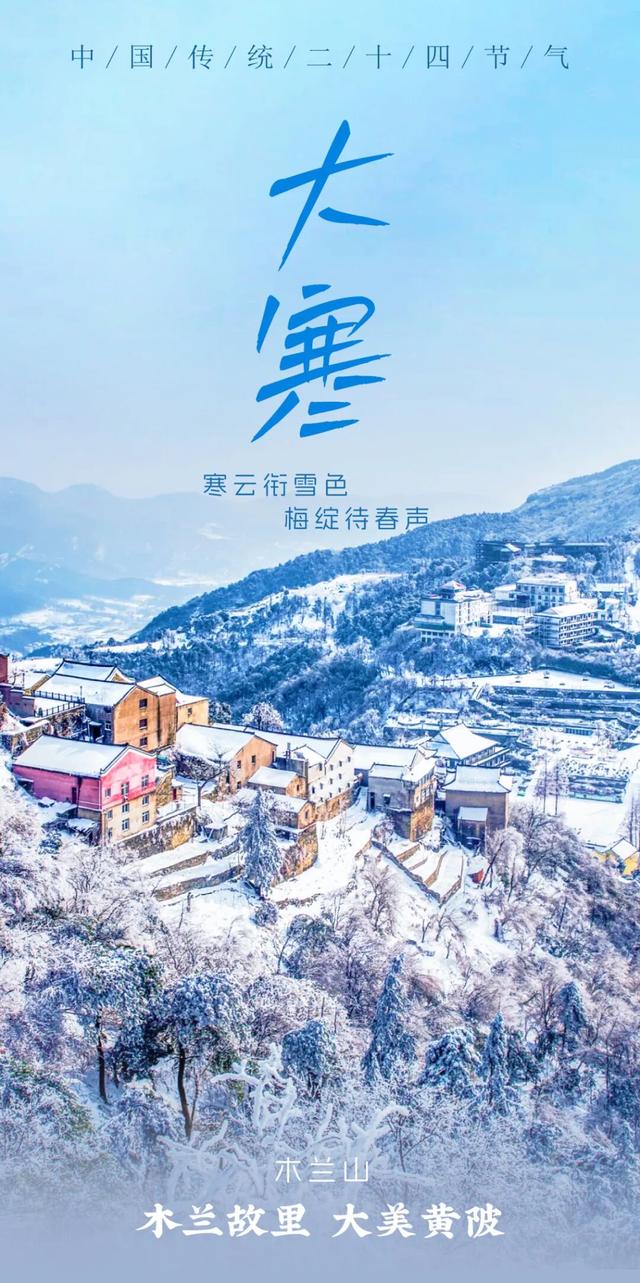 大寒至，雪满黄陂梅正香！