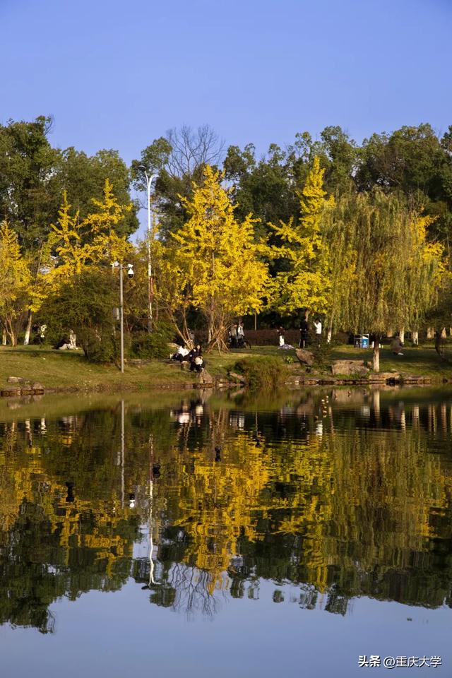 重大限定皮肤上新,超出片!🤳