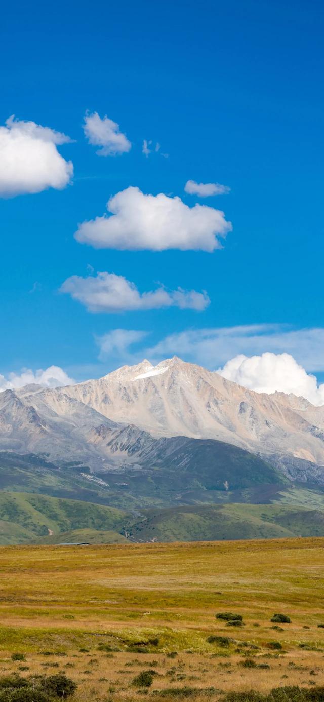 手机壁纸|清新盎然的自然风光美景