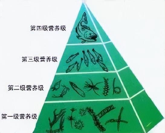 AI加速全社会倒丁字型趋势