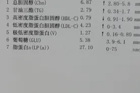 带您看看血脂化验单，其中2项更重要，参考值为何不能做参考？图片