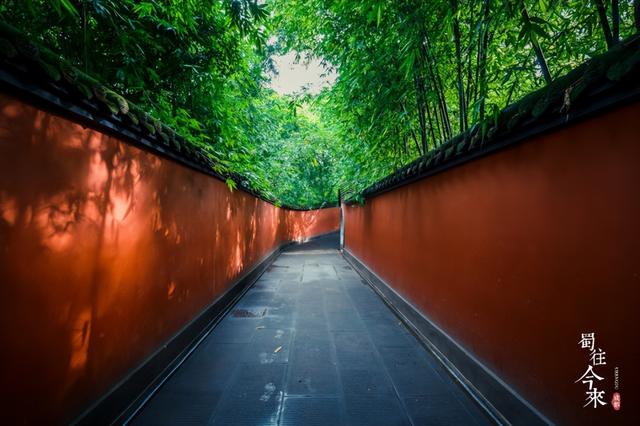 春节宝藏旅行地大赏：全家同行，让冬日暖意不留白