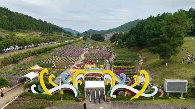 秋日限定 来麻江邂逅花海盛宴