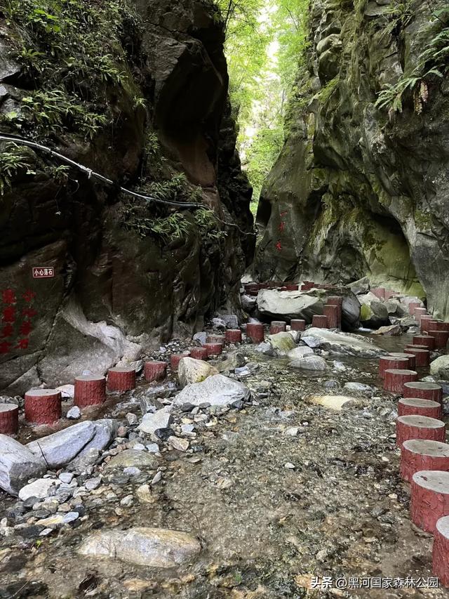 西安2h直达！钻进20℃的“天然空调房”，超全纳凉自驾攻略来了！
