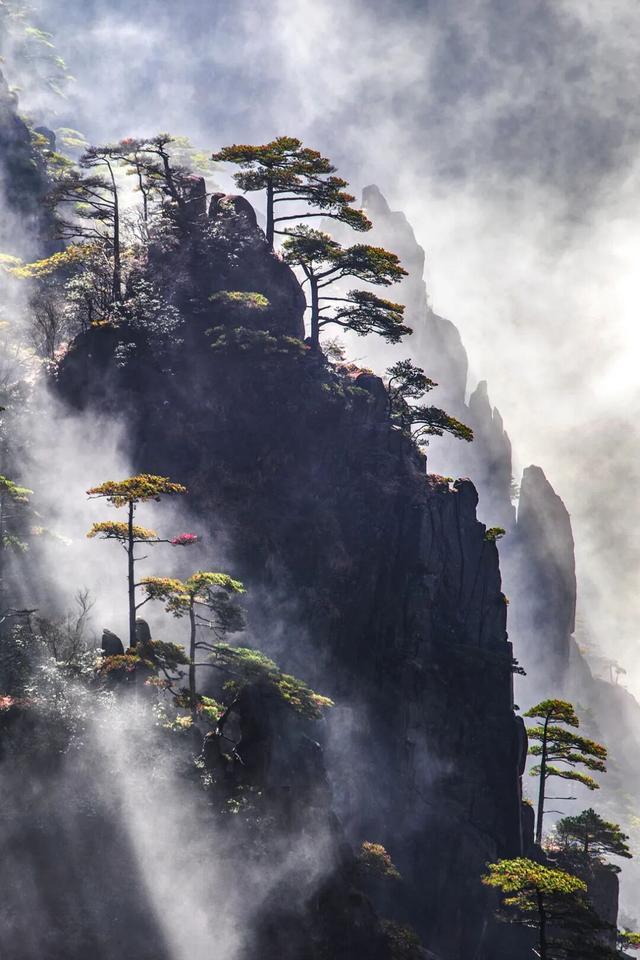 跟着《水龙吟》游天都峰，秋冬打卡自带 “滤镜” | 皖美冬日 | 第十五届安徽国际文化旅游节
