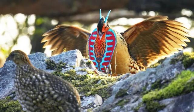 快来抱抱~ | Welcome to 疯狂·武夷山·动物城