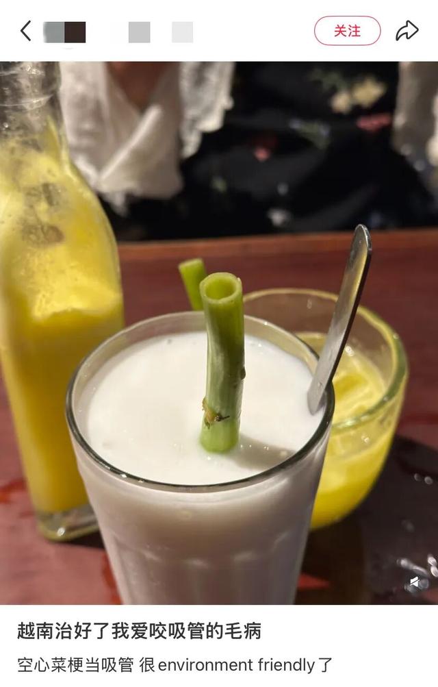地理冷知识—越南的吸管