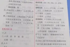 四年级语文课时练答案图片