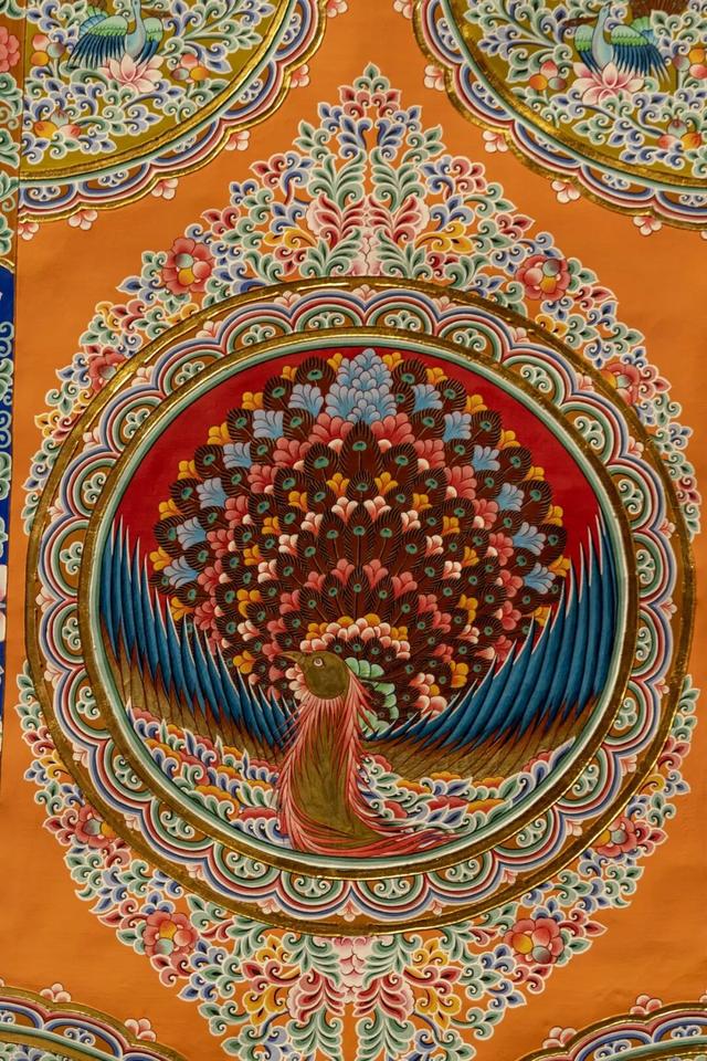 地理冷知识—中国的自治州