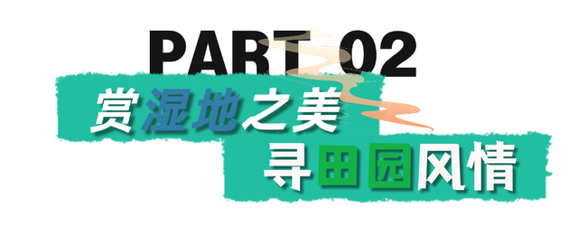 奔“县”山东！这里是黄河入海 大美垦利