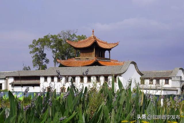 转角即公园，满城皆风景——晋宁“口袋公园”悄悄惊艳