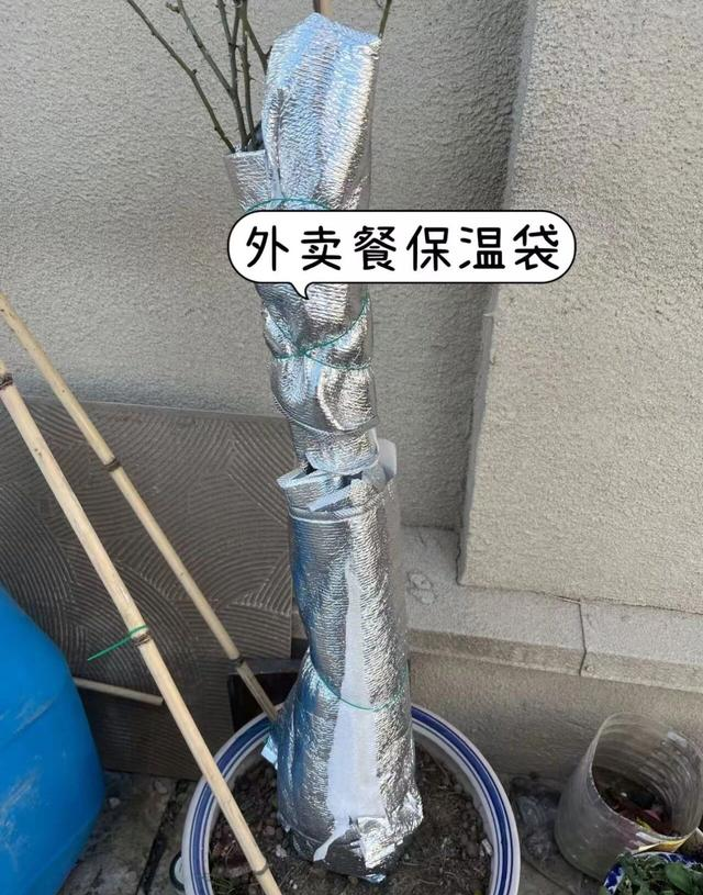 万万没没想到，外卖保温袋竟是过冬好帮手，那我以前扔掉的算什么