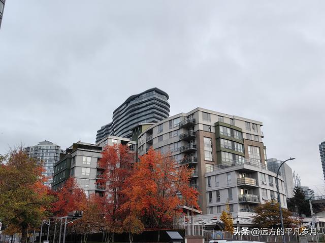 温哥华游记（六）