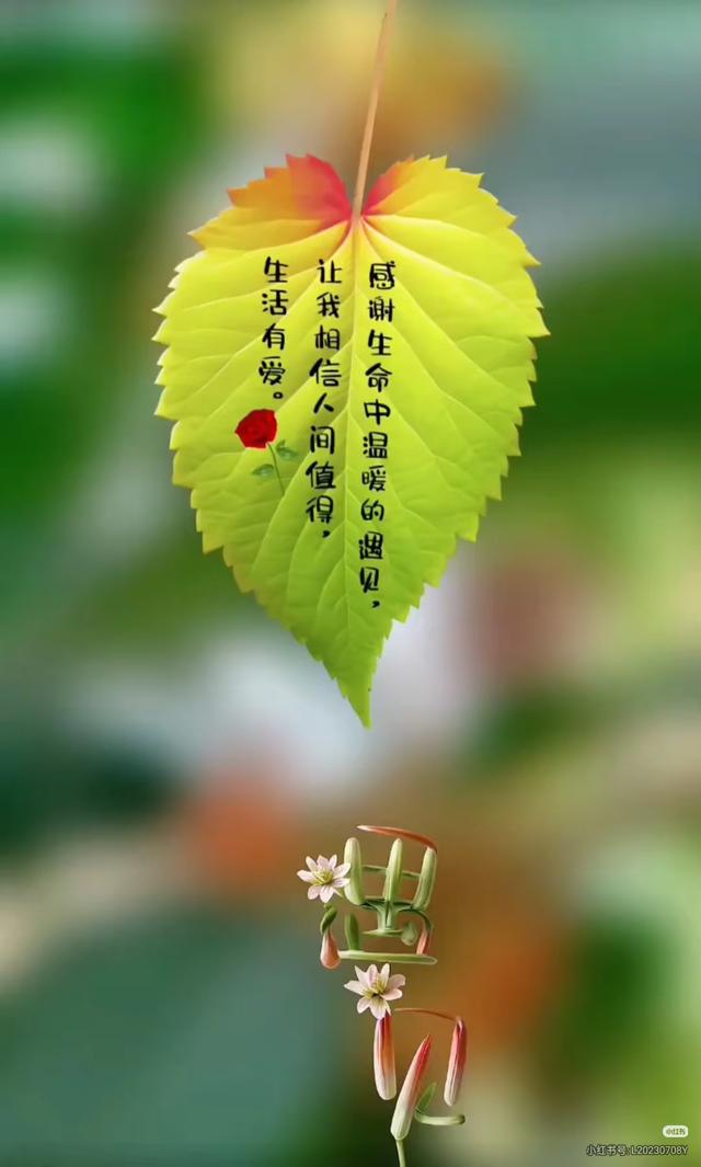 我在雨中想你