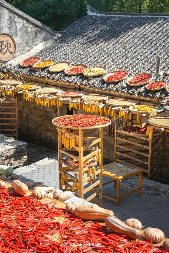 会玩的武汉人,都回村过秋天了