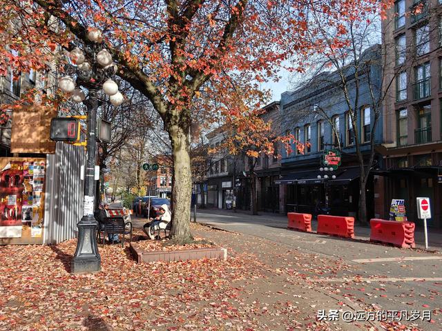 温哥华游记（六）