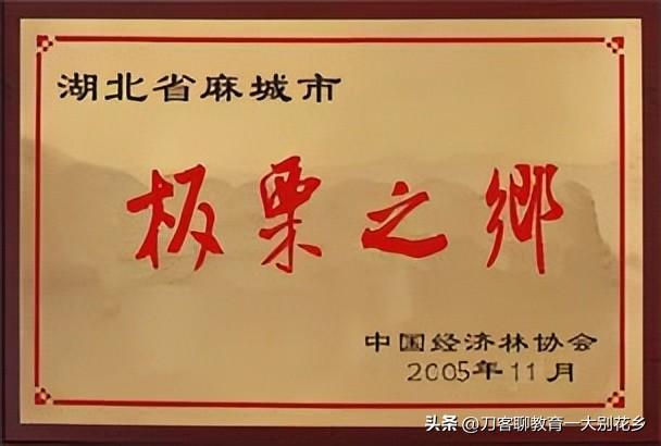 魅力麻城：麻城市的特色产业和文化资源其实还是很丰富的
