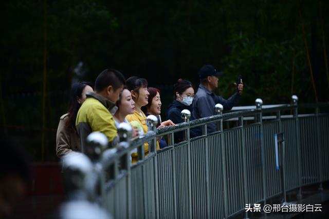 秋雨后，邂逅达活泉的浪漫