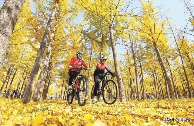 林梢一抹美如画