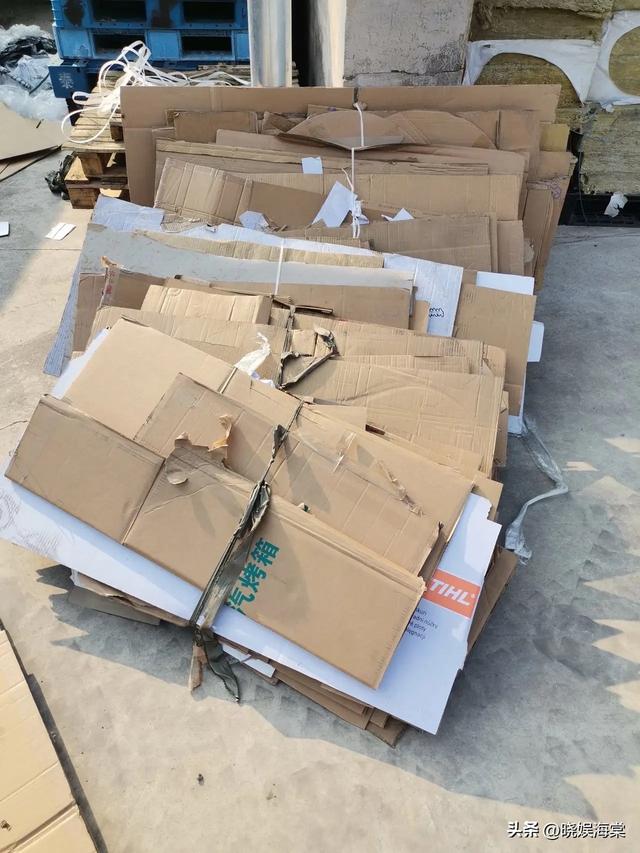 大妈推倒残疾奶奶抢纸壳后续：不愿住院，家属透露隐情	，只赔600