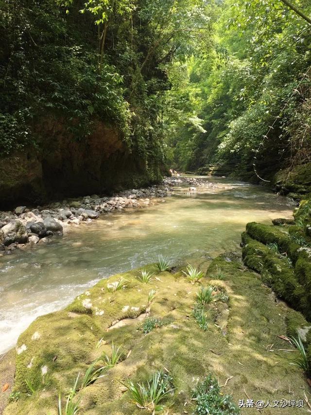 比市区低8℃！重庆周边1小时的免费耍水宝藏地，清凉又解压，快冲！