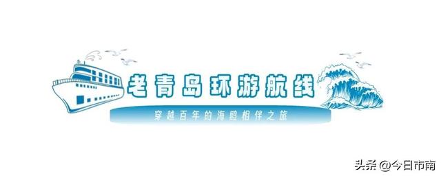 冬日限定浪漫！跟着蒋欣去海上喂海鸥！