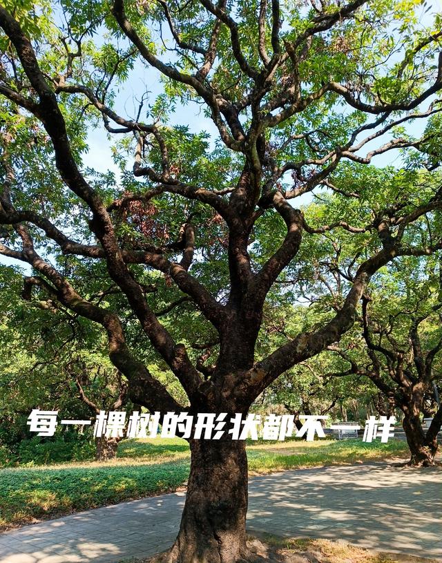 老年人的生活就是这样的