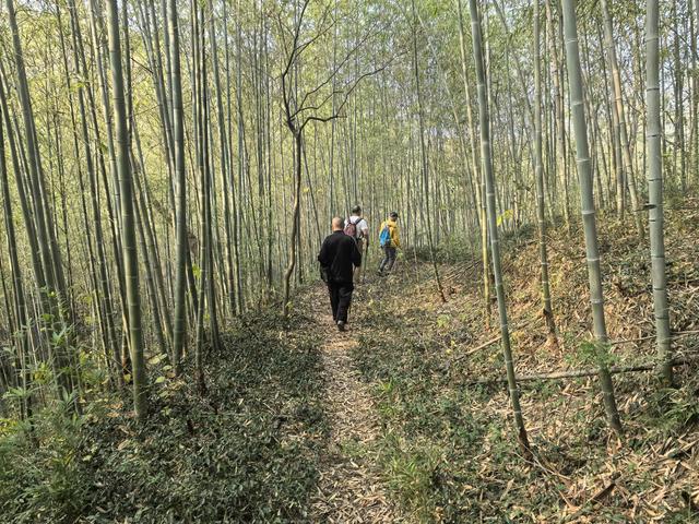 南京江宁大连山金陵四十八景之虎洞明曦，佘村丹霞山一日郊野徒步