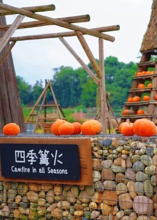 一键复制！高埂街道冬季遛娃宝藏路线！