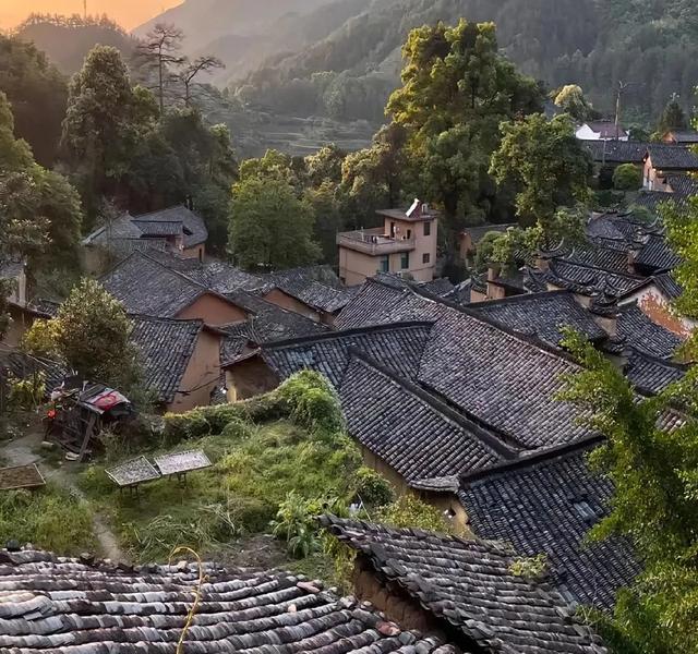旅居伏牛山，过个22℃夏天！