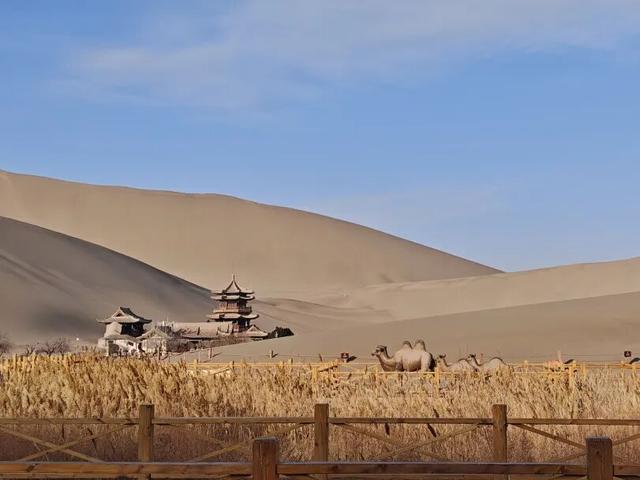 大寒暖韵满鸣沙 丝路驼铃唤客来