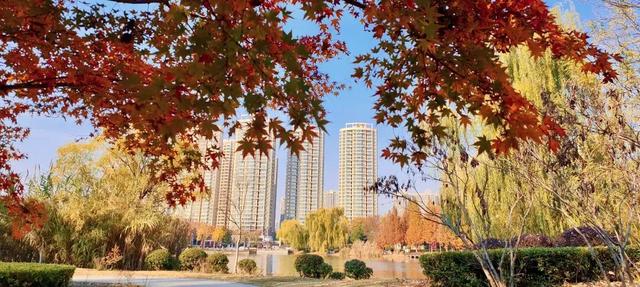 五彩斑斓！龙潭公园的初冬彩林，总有一抹色彩温暖你！