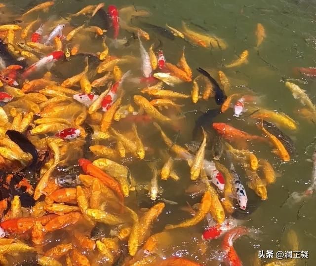 游玩小记：郑州方特梦幻王国的两天之旅