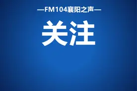 顶流Jellycat现身襄阳，这也太萌了吧！图片