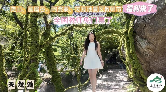 致敬教师！鲁山文旅发布A级景区福利清单
