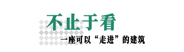 南山爆火打卡点！出片率100%！