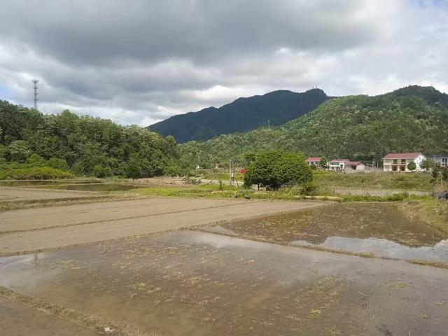 浏河滚滚欲留春，独向芳踪觅雅意——徒步小溪河散记（十一）