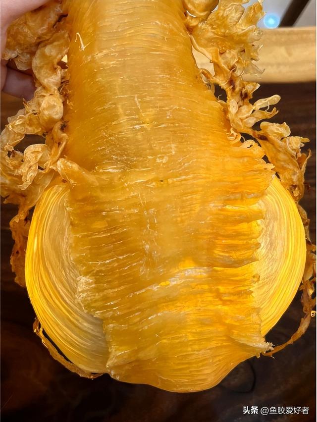 黑糯炖米花胶 黑糯炖米花胶怎么做