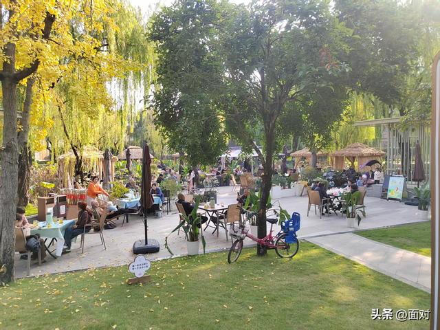 🌞广汉金雁湖公园：冬日里的“阳光能量站”